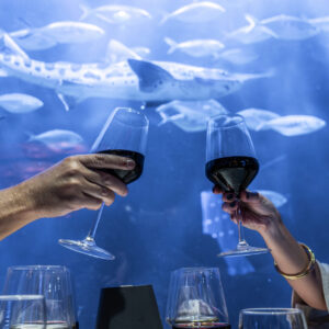 Cena con Bodega 27/11